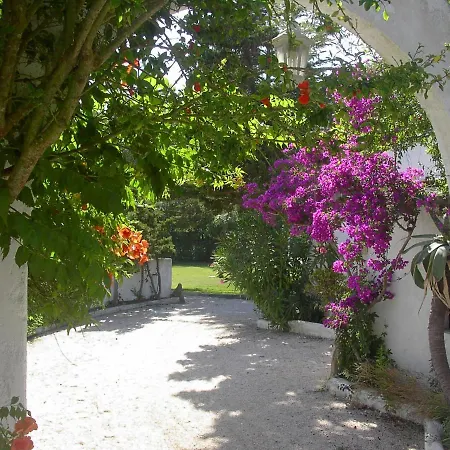 Rural A Coutada - Peniche 酒店 阿通奎亚·达·巴利亚